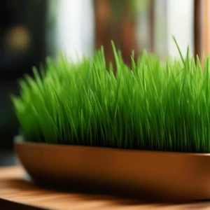 Искусственная трава “Зеленый рай” Искусственная трава “Зеленый рай”